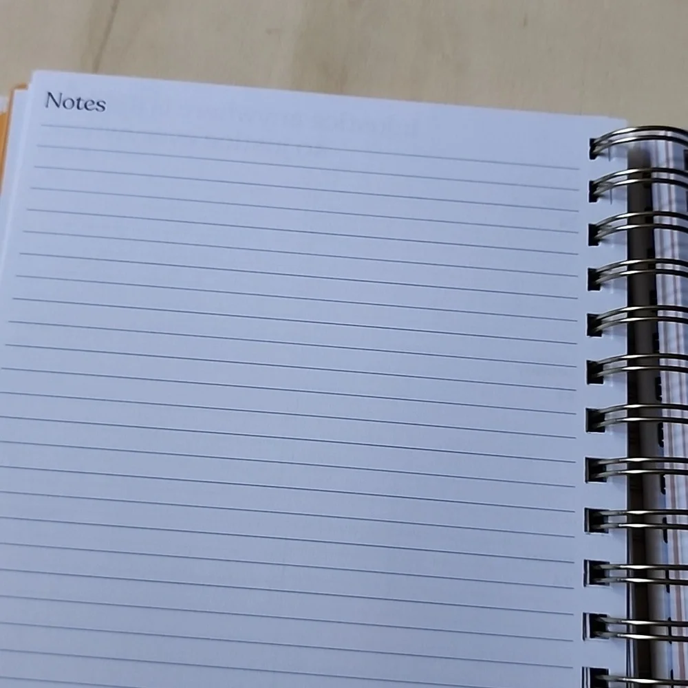 Brand New Eccolo Blue Stripe 2025-2026 planner notebook